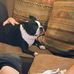 Marcy Abbott - Facebook