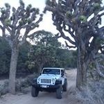 Marci Andersen - @marciandersen - Instagram