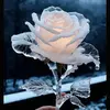 @marcia Anton - @user7665800324950 - TikTok