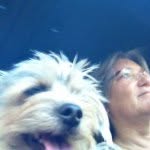 Marcia Bateman - @marciajbateman - Instagram