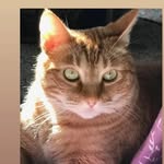 Marcy Bates@ Cienna Chazz marcy - @marcy.bates.51 - Instagram