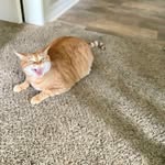 marcy Lynne Bates - @marcy_cienna_chazz - Instagram