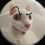 Marcelino - @marcibeaner - Instagram