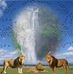 Marcia Berger - Facebook