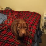 Marci Betts - @grandma_wolf3 - Instagram