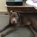 Marci Betts - Facebook