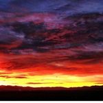 Marci Boyd - @m_boyd44 - Instagram