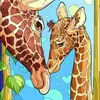 Marcia Boyer - @marcia.boyer8 - TikTok
