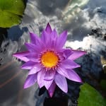Marcy Boyer - @westygalnow - Instagram