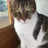 marci.boyle - @mybumlife00000 - TikTok