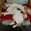 marcibryant180 - @marcibryant180 - TikTok