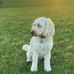 Marci Burt - Facebook