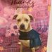 Marcia Chaney - Facebook