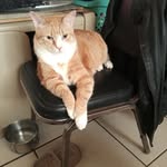Marci Craft - @marcicraft - Instagram