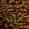 Marci David - Facebook