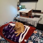 Marci Lynn Dunigan DeLong - @marcidelong - Instagram