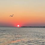 Marcia Frederick Garris - @garris_marcia - Instagram