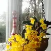 marcigregory - @marcigregory - TikTok