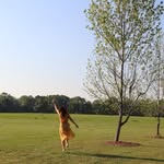 Marcy Gregory - @marcykaygregory - Instagram