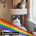 Marci Hall - @marcih74 - Instagram