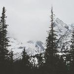 MarciHart - @marcihart9218 - Instagram