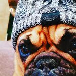 Marci Hoffman - @nugslife17 - Instagram