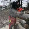 marci_Hoffmann - @marci_hoffmann - TikTok