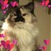 Marcia Hoffman - Facebook