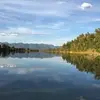 marcihuntsinger52 - @marcihuntsinger52 - TikTok