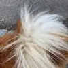 marciakarp - @marciakarp - TikTok