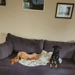 Marci Kennedy - @marci.kennedy34 - Instagram