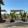 Marci - @marcimartello - TikTok