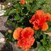 Marcia McKenzie - Facebook