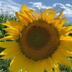 marci miles - @therealmarcimiles - Instagram