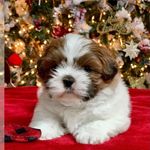 Marci 🐾 - @marci_morris_ - Instagram