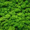Moss Marcia (Marcia) - @moss.marcia.marci - TikTok