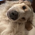Marci Wolin Murphy - @marci_wolin_murphy - Instagram