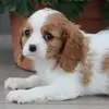 Marcia Murphy - @marcia.murphy8 - TikTok