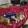 marciareednolan - @marcia.real.estat - TikTok