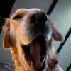 Nolan - @nolan_marcin - TikTok