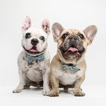 Marci, Owen és a többiek - @marci_and_owen - Instagram