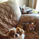 Marci Owens - @mbob_33 - Instagram