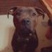 Marcia Owens - Facebook