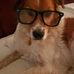 Marcia Price - Facebook