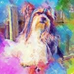 Marci Carbonneau - @marciraye1 - Instagram