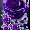 Marci Rayna Massey - @marci.rayna.masse - TikTok