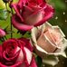 Marcia Roller - Facebook