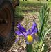 Marci Rushing - Facebook