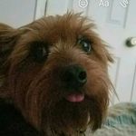 Marci Rushing - @rushingmarci - Instagram