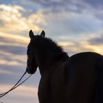 Marci Ryan Photography - @marciryan - Instagram